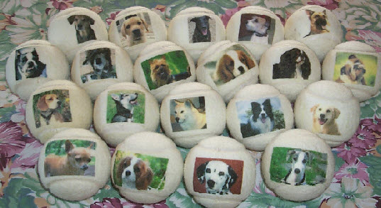  dog balls with names or pictures
