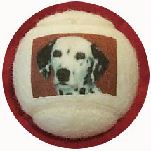  dog balls, personalised, made by J Price