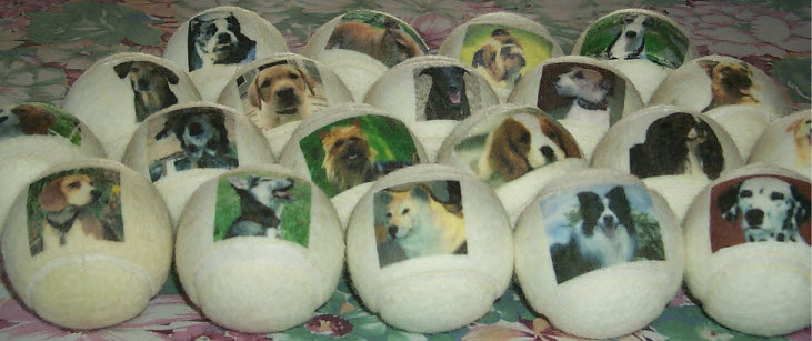 dog balls, personalised with pictures